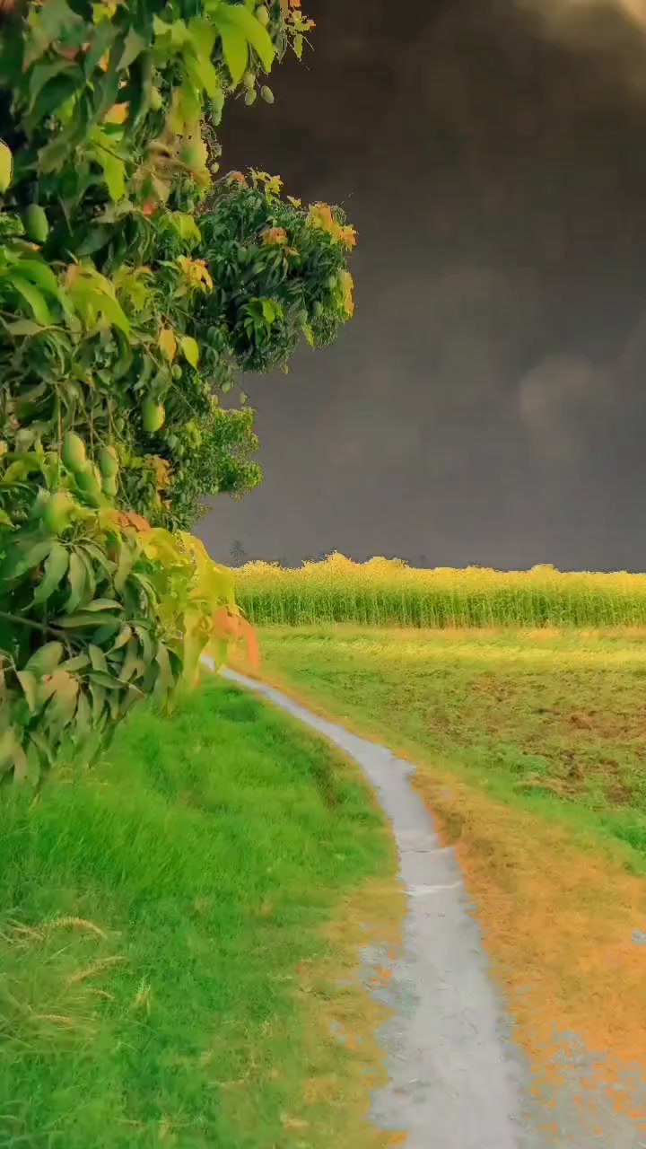 @𝐁𝐈𝐒𝐇𝐍𝐔 𝐃𝐄𝐕