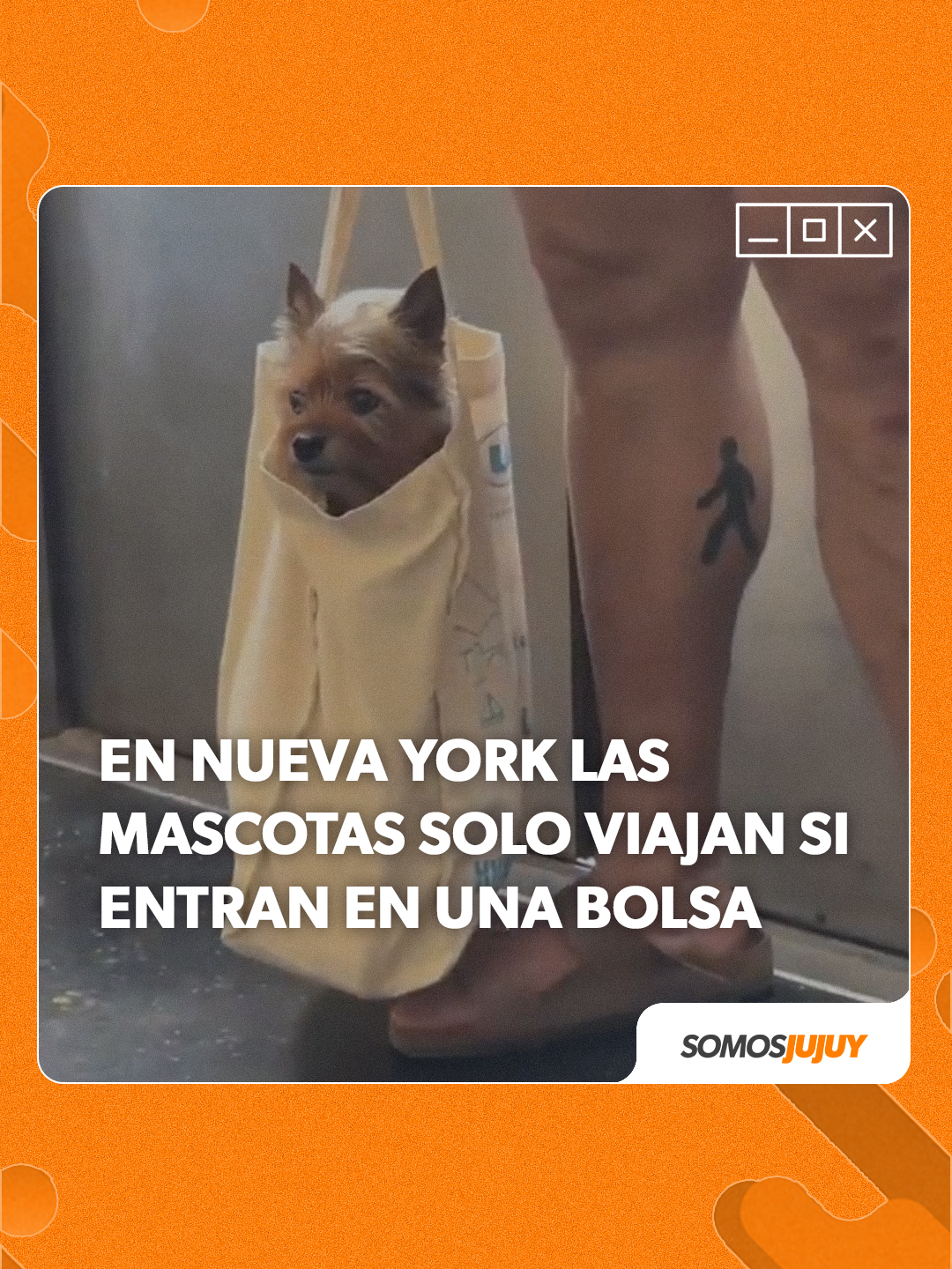 @Somos Jujuy