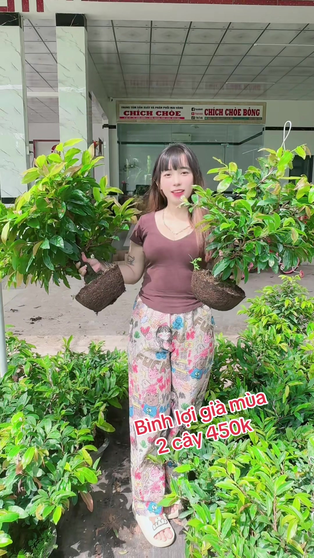 @Chichchoebong79