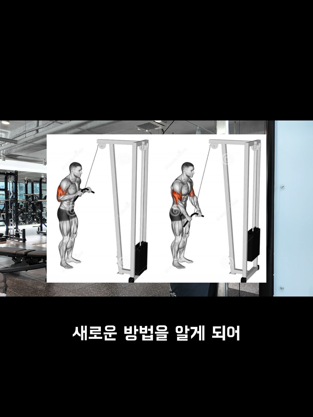 @윤푸