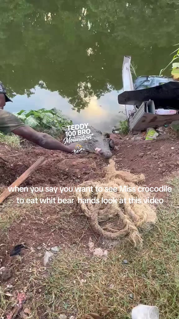 @teddy motivation and wildlife