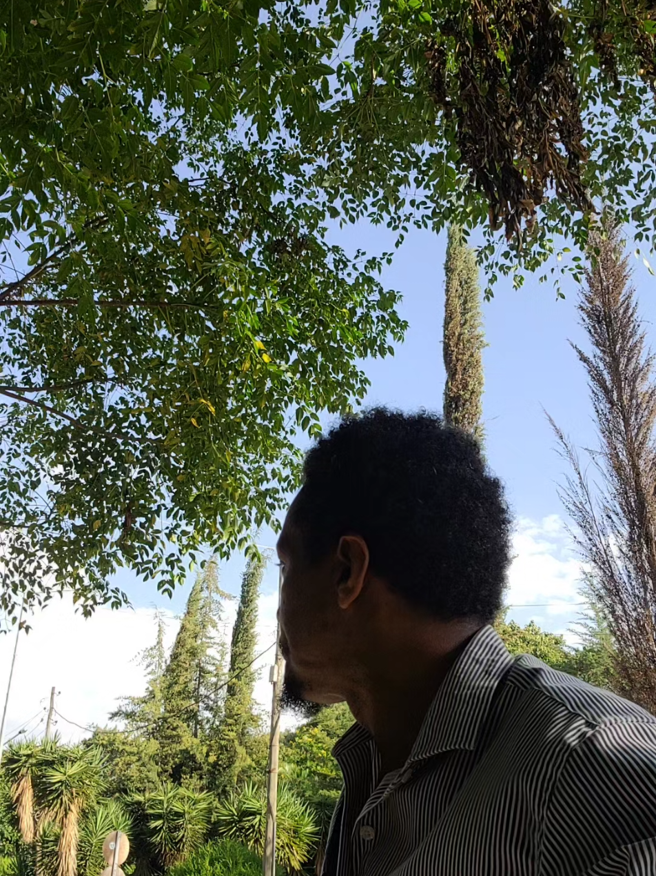 @Muna Tilahun 艾柏