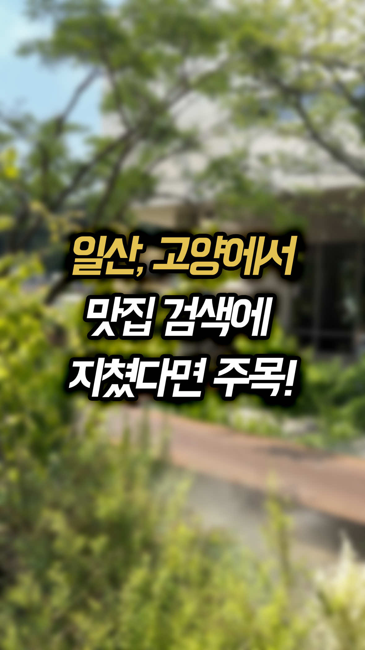 @일산갈고양