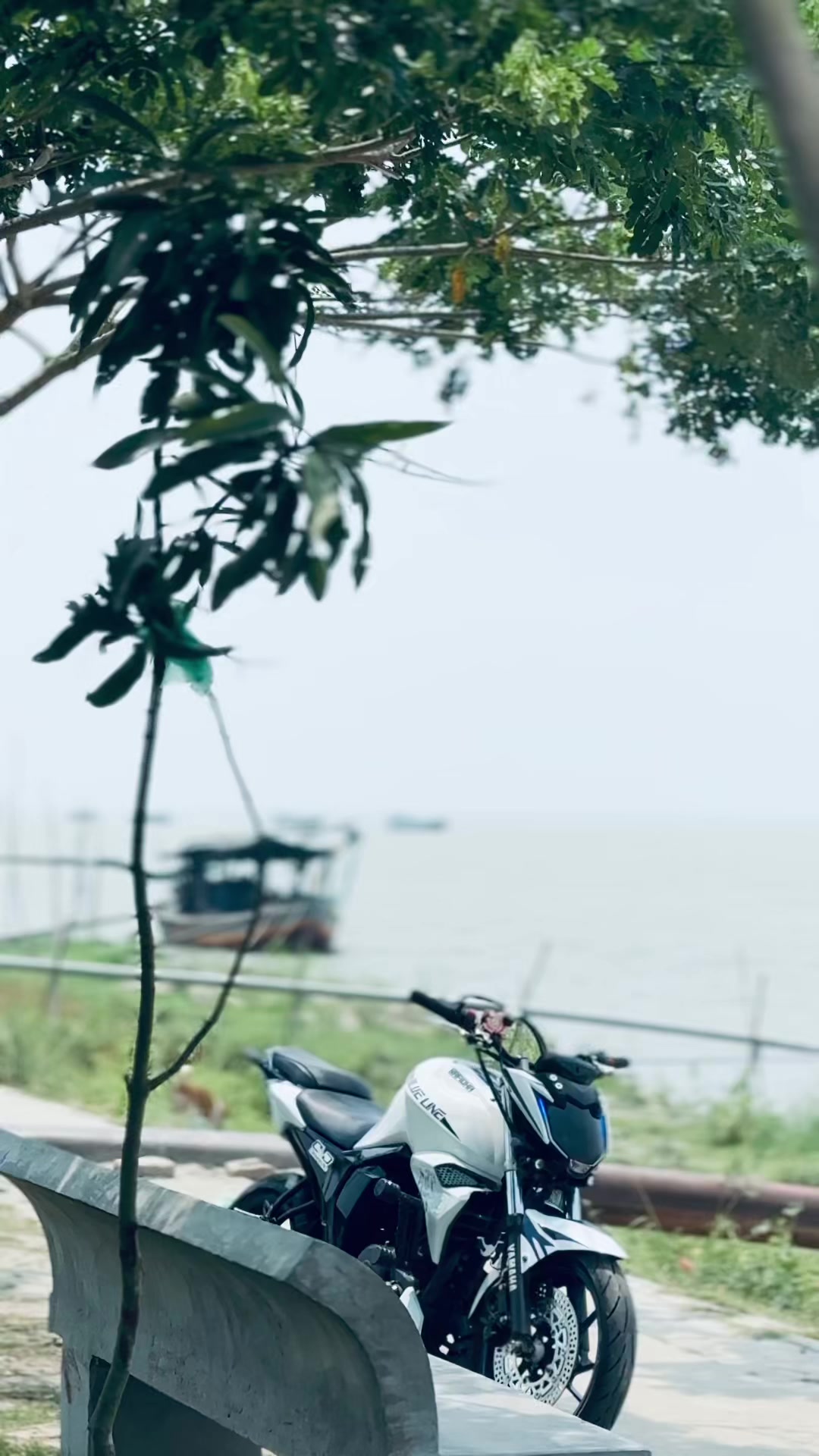 @ʙʟᴜᴇ ʟɪɴᴇ💙🕊️