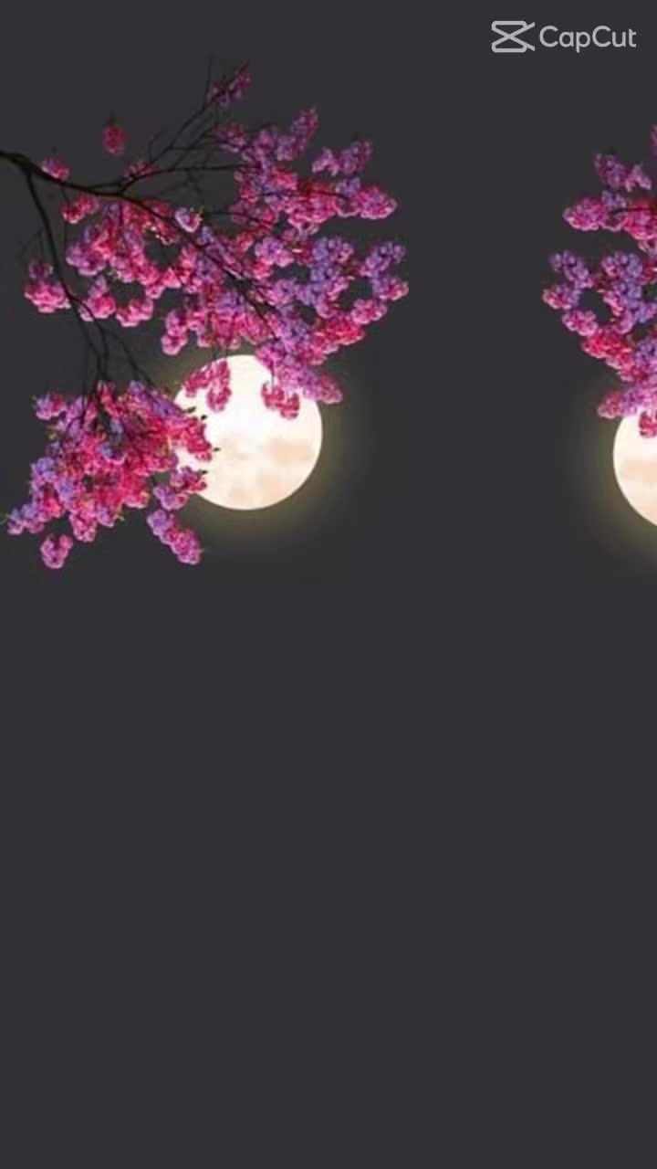 @𝐀𝐬𝐢𝐡𝐚 777
