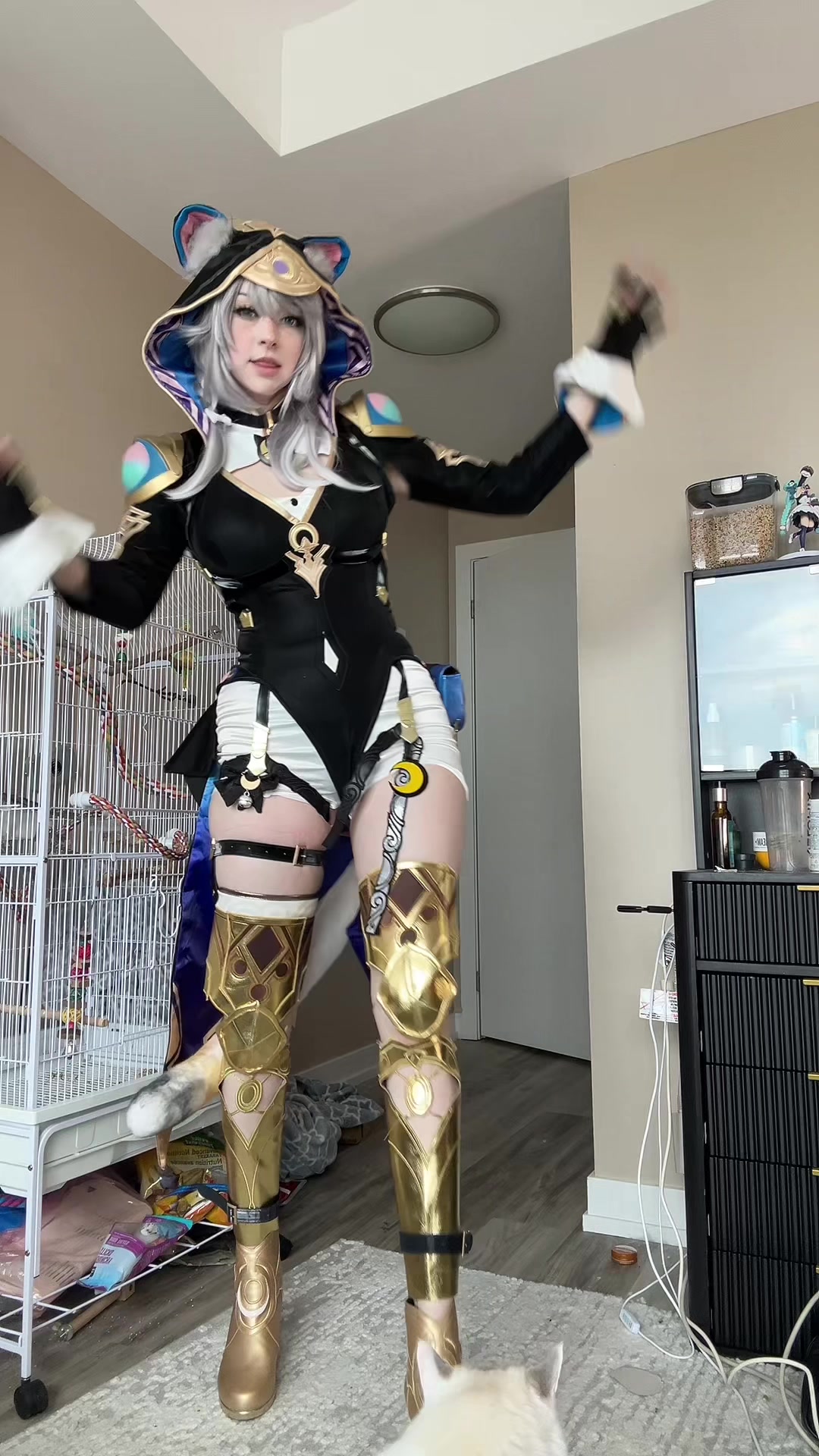 @Aya