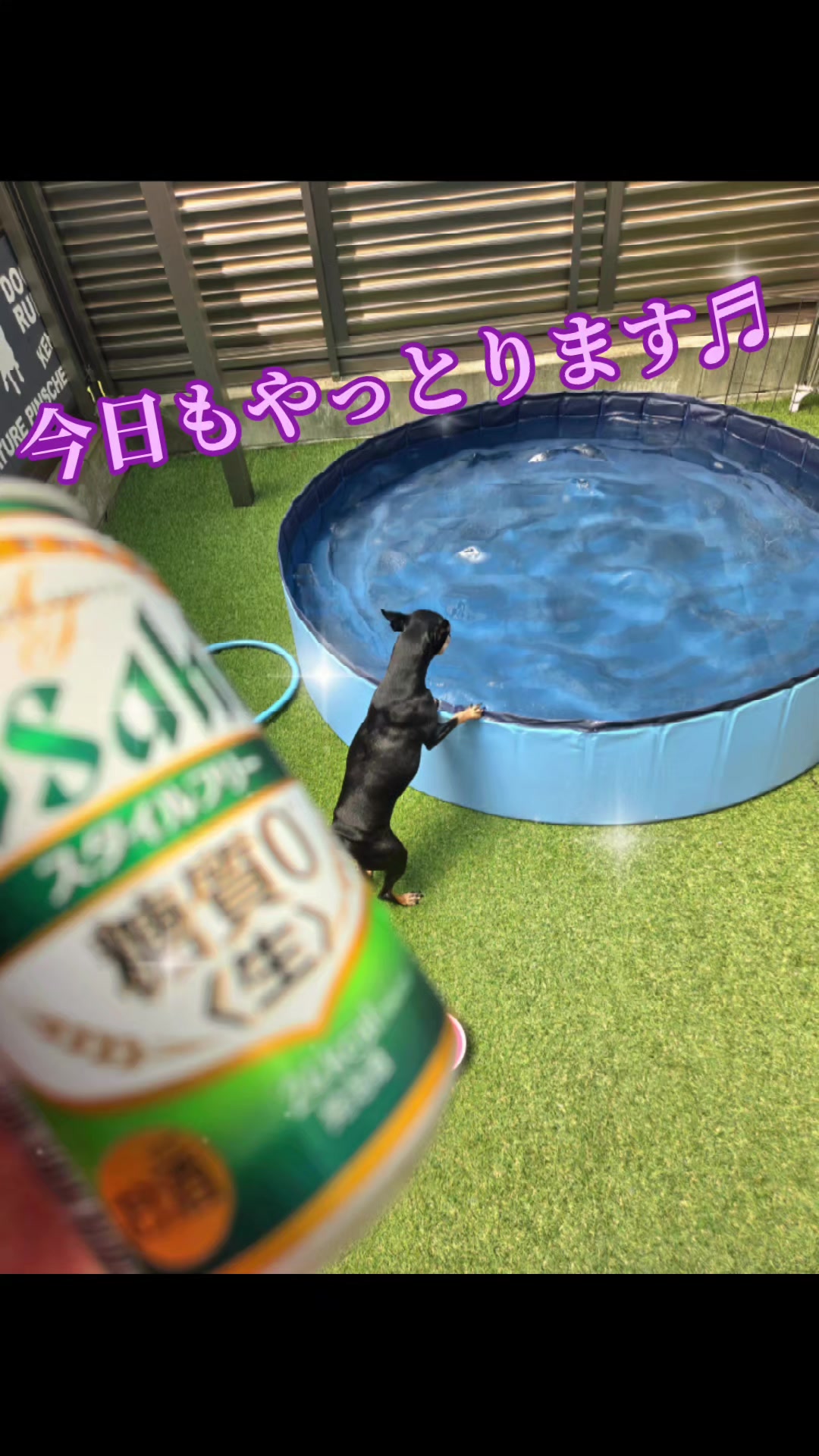 @ðããã¢ð