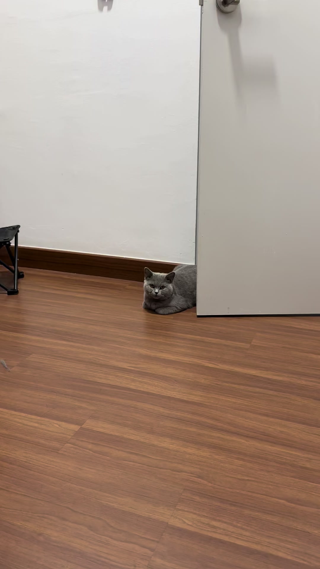 @ʟɨʄɛ ɨֆ ȶɛʍքօʀǟʀʏ
