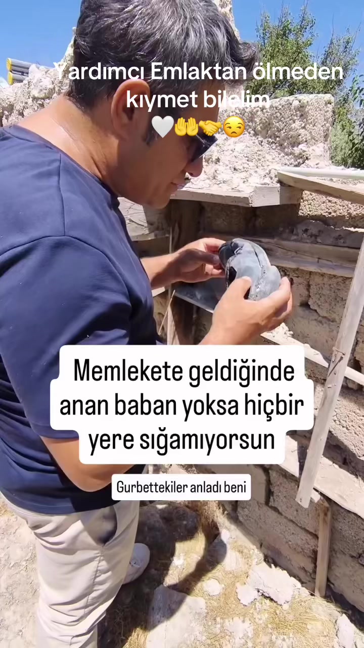 @Yardımcı Emlak
