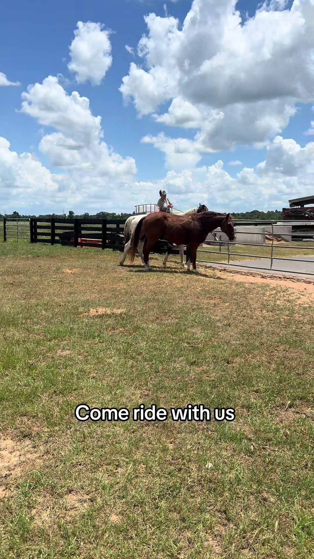 @bestlifetexas