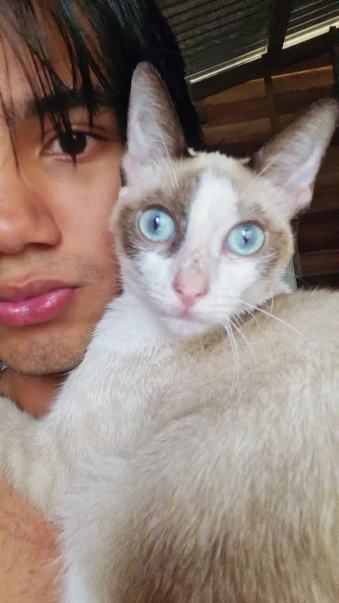 @✨️Richardson_Matos✨️