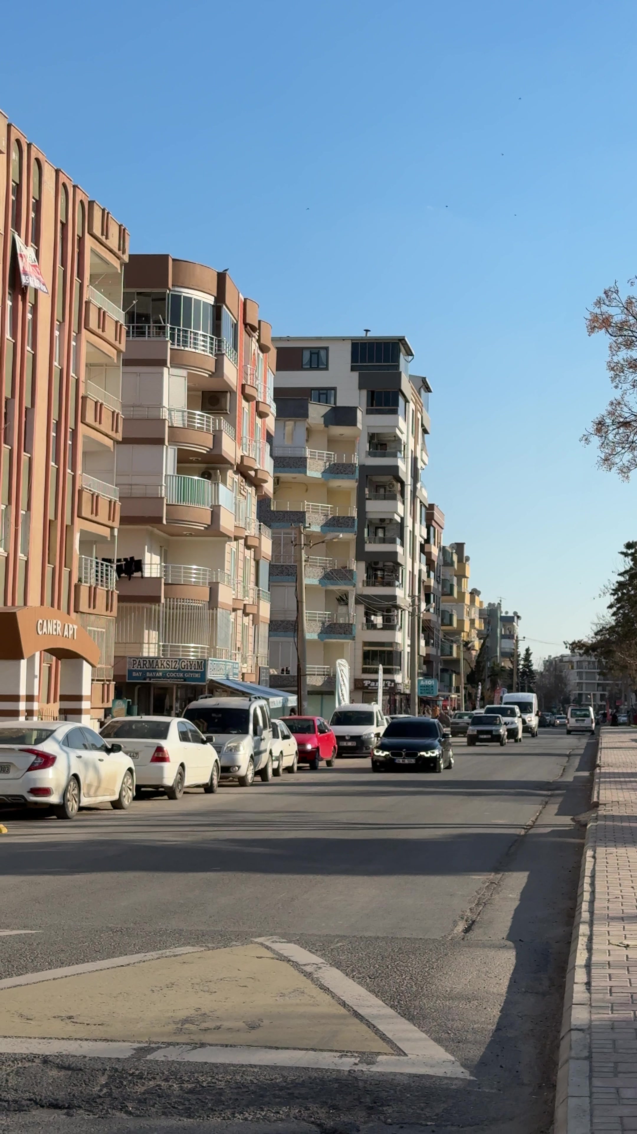 @Berat Mamir
