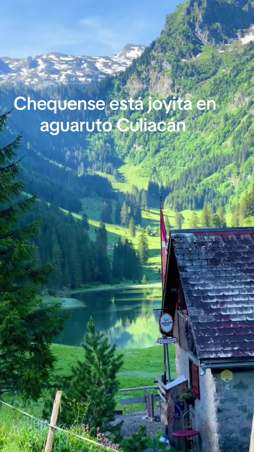 @lonchedejamon0919