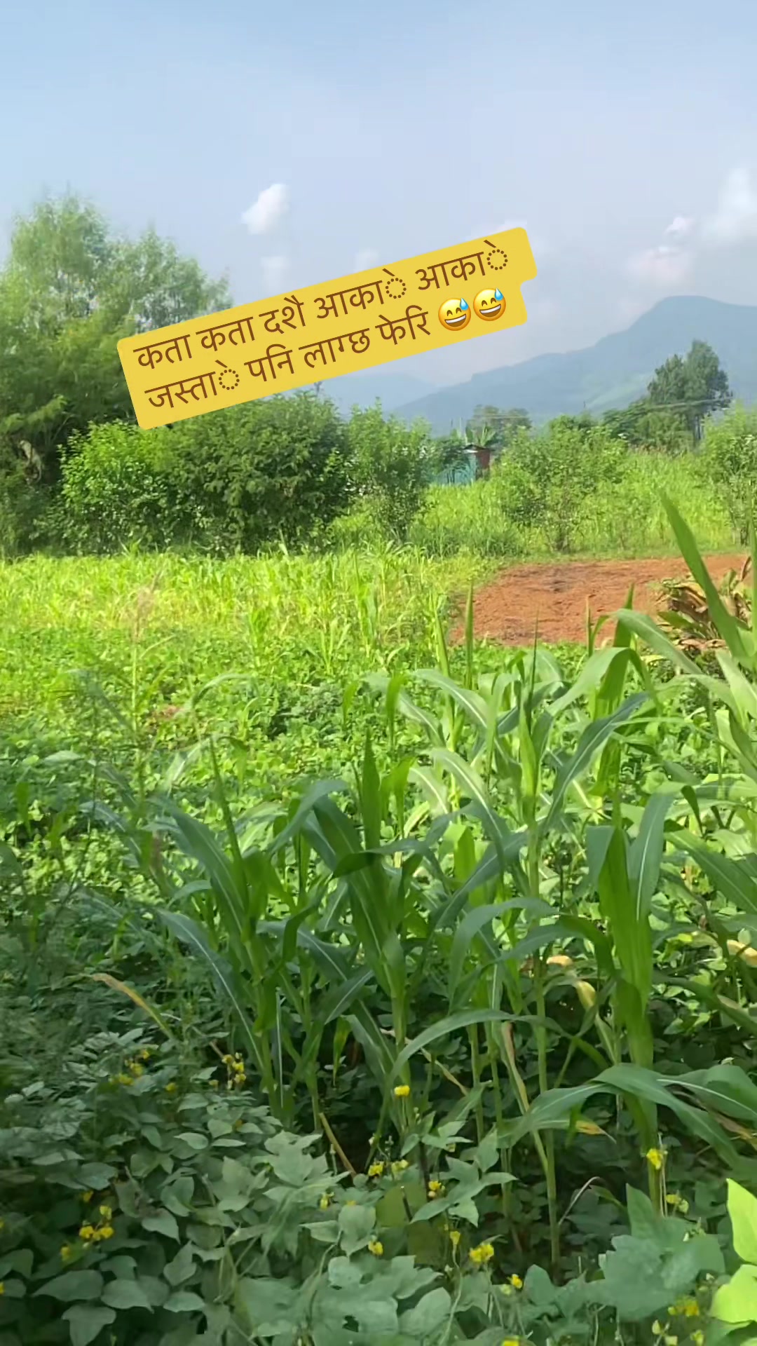 @Nanu Sharma
