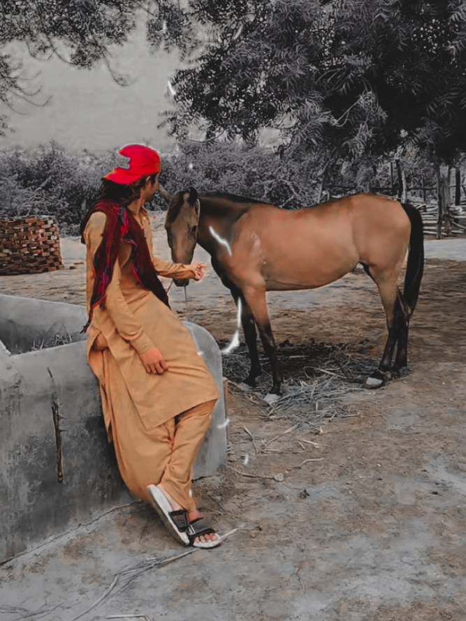 @❤️Zaheer shah ❤️