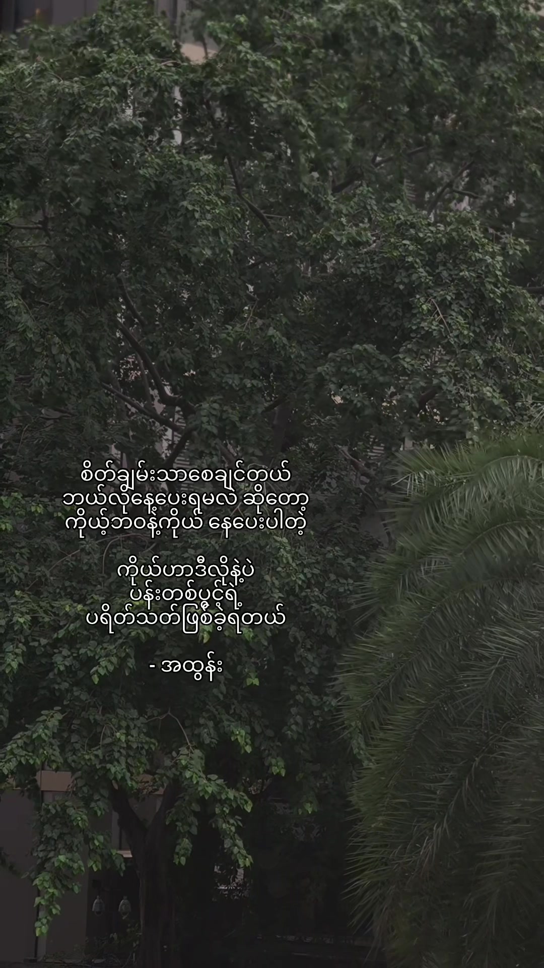 @livingsoliloquy