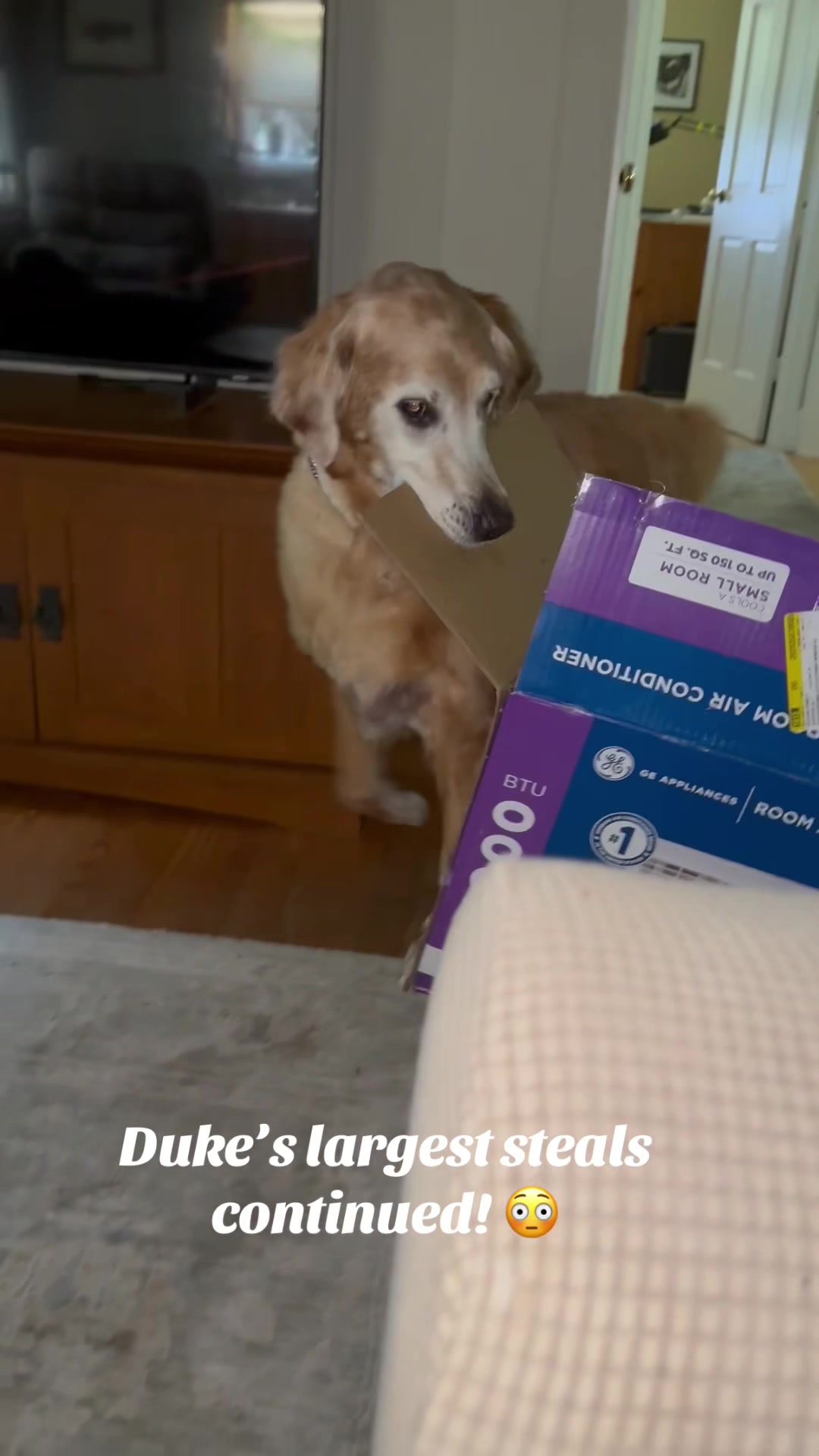 @lifewithduke2025