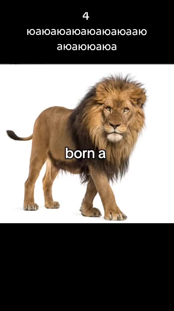 @STORM