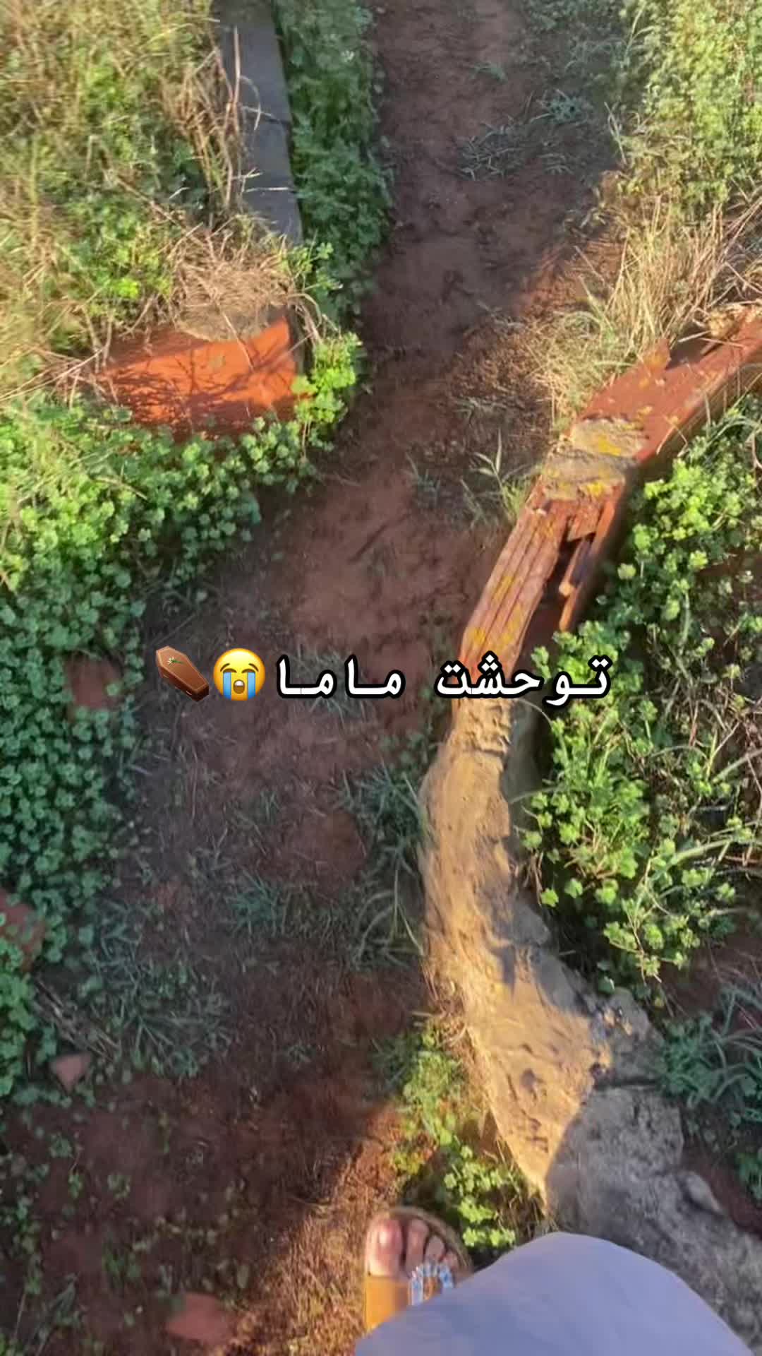 @💍Méfiant💖