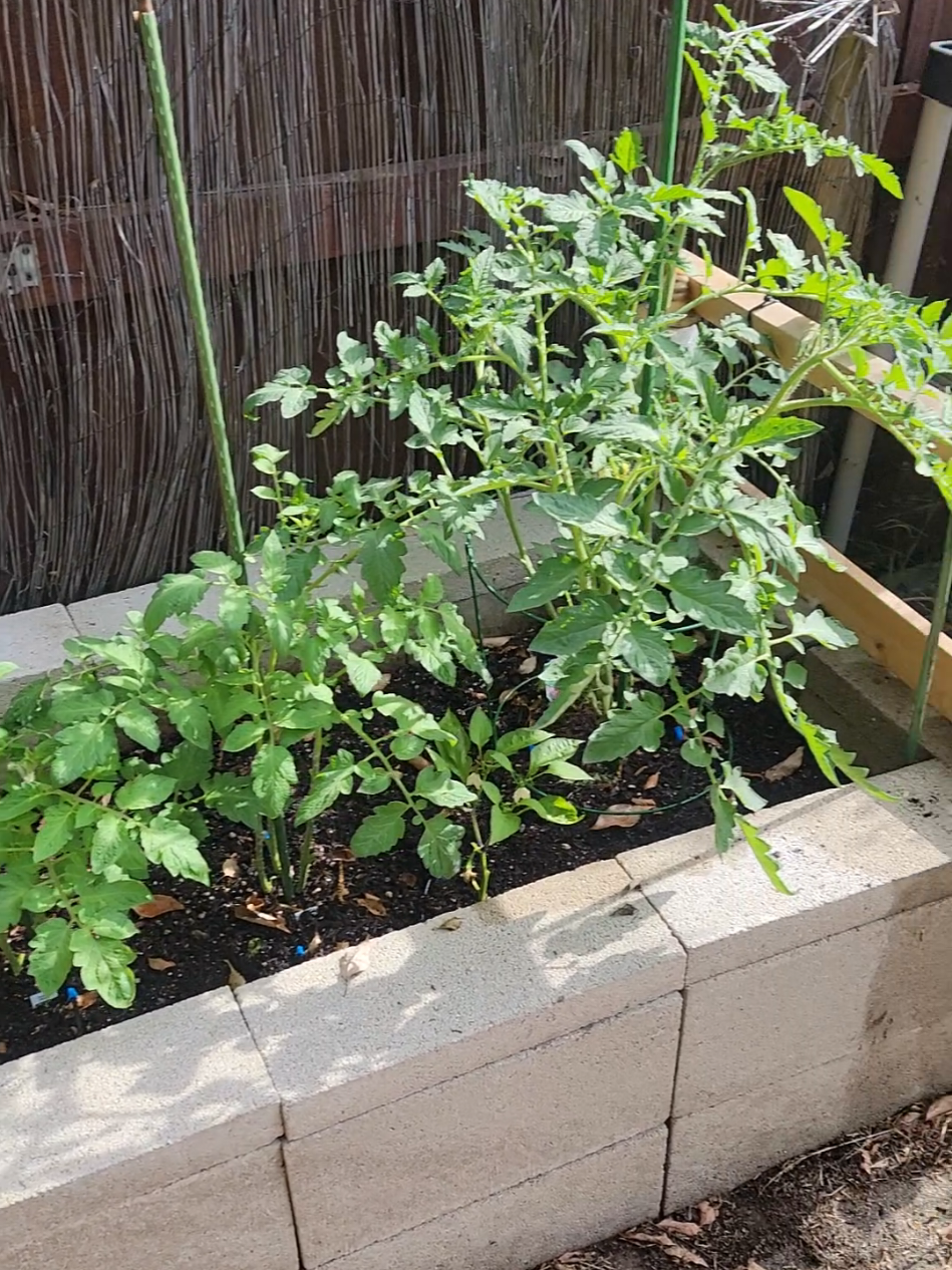 @Grateful_Gardening