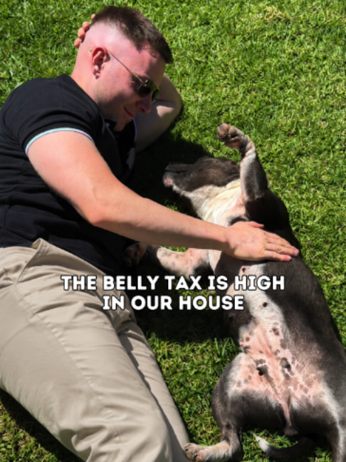 @Happy Staffy Co