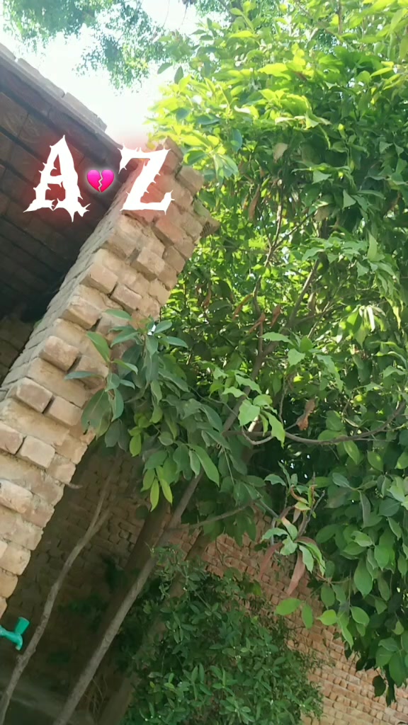 @Adnan Khan