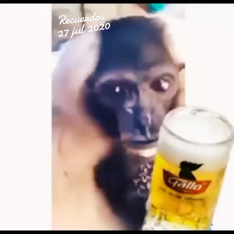 @Alejandra 💜