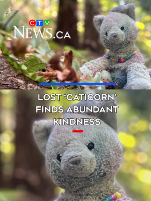 @CTV News Vancouver Island