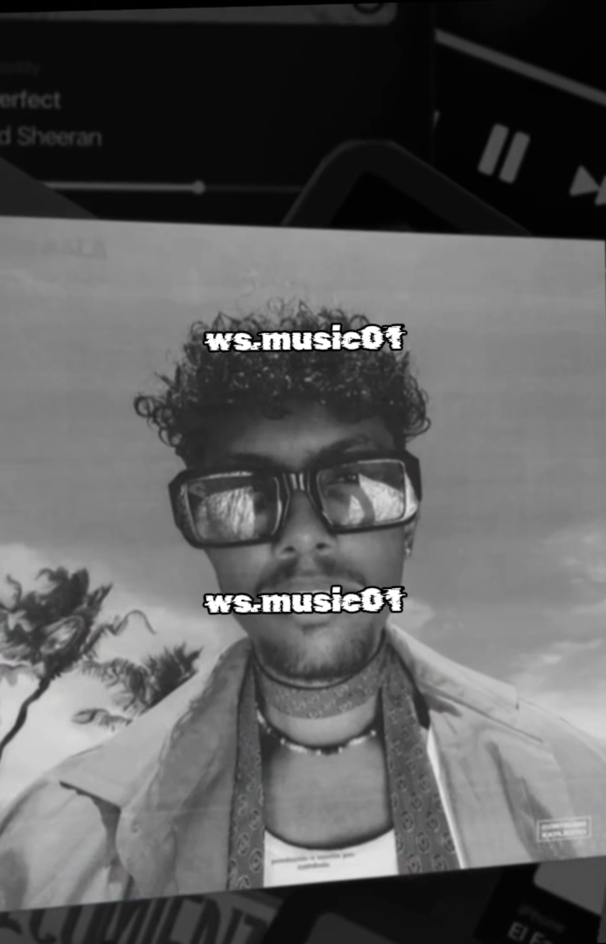 @WS 🕸️