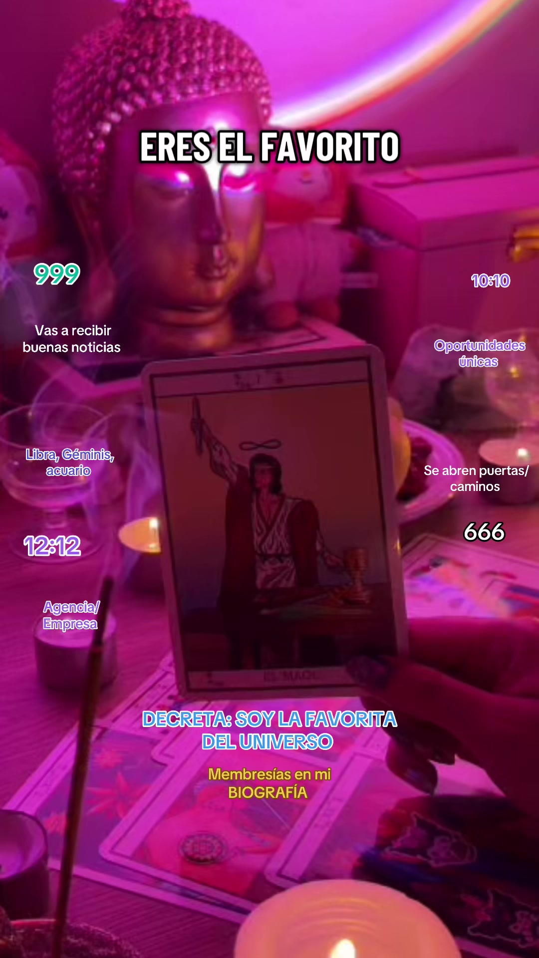 @Cultivapresencia