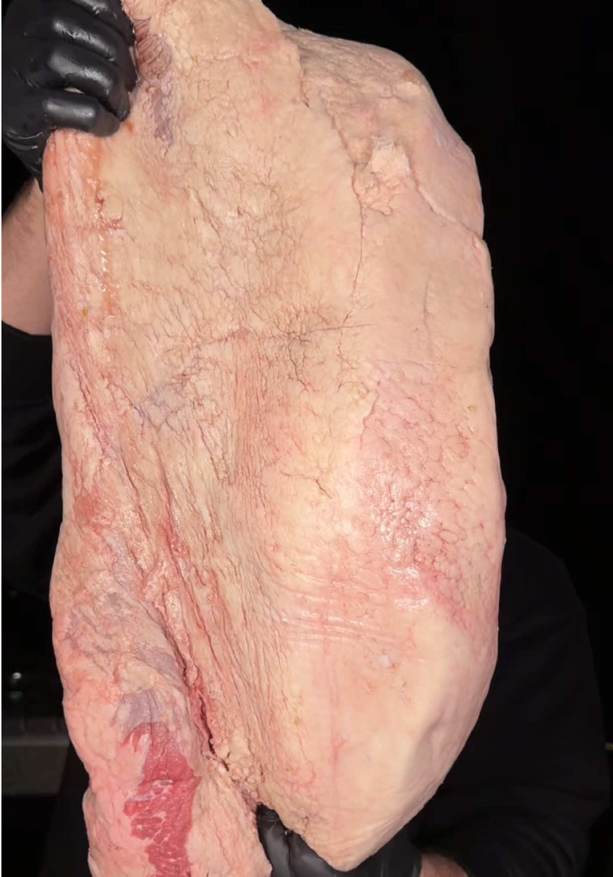 @GrillerVM
