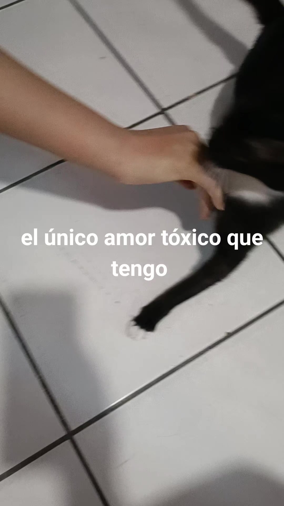 @Emilia