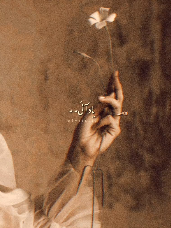 @˙.◌˚𝐋𝐲𝐫𝐢𝐱𝐭𝐢𝐜🍂.&bull;