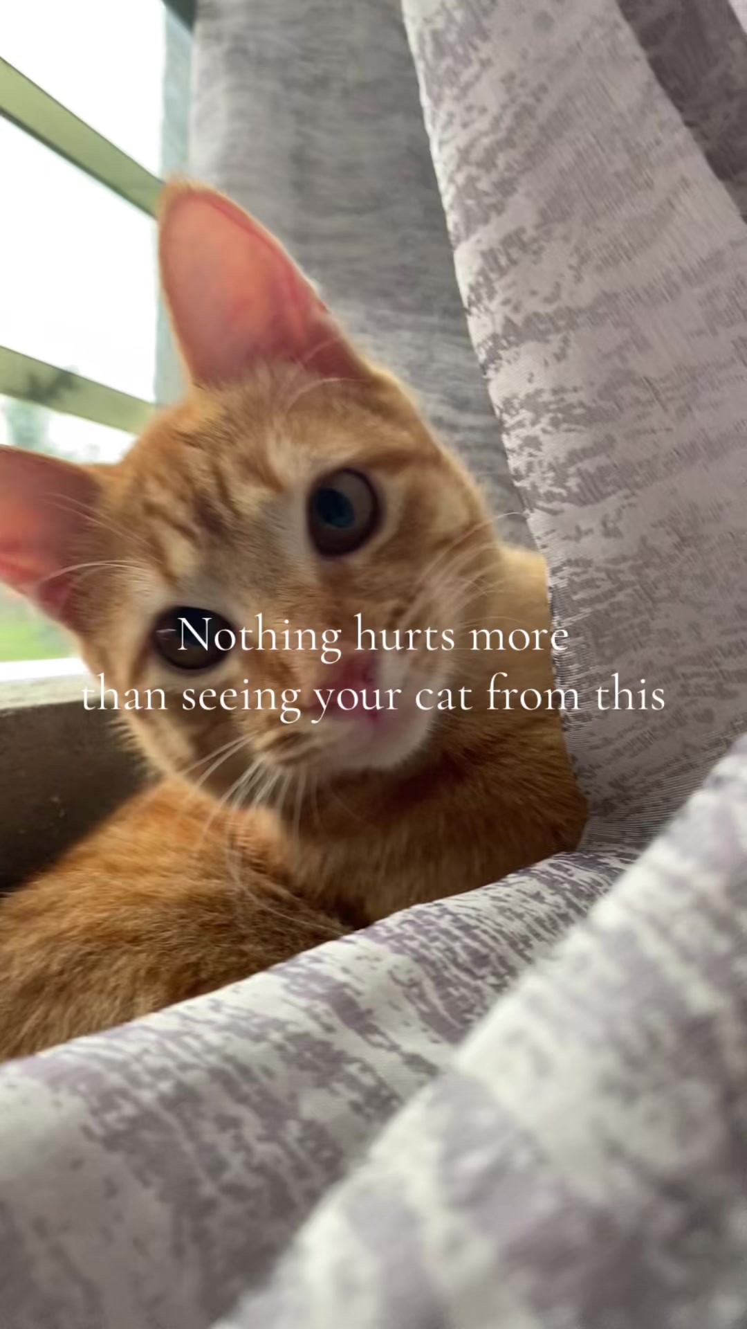 @eilliebear