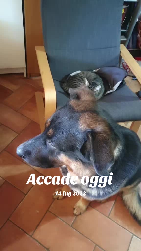 @Lisa Matteini