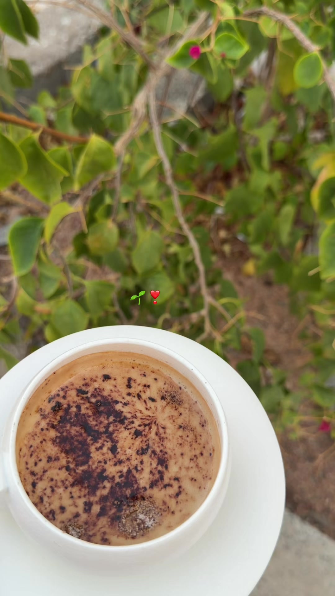 @مرام المدينه🦌