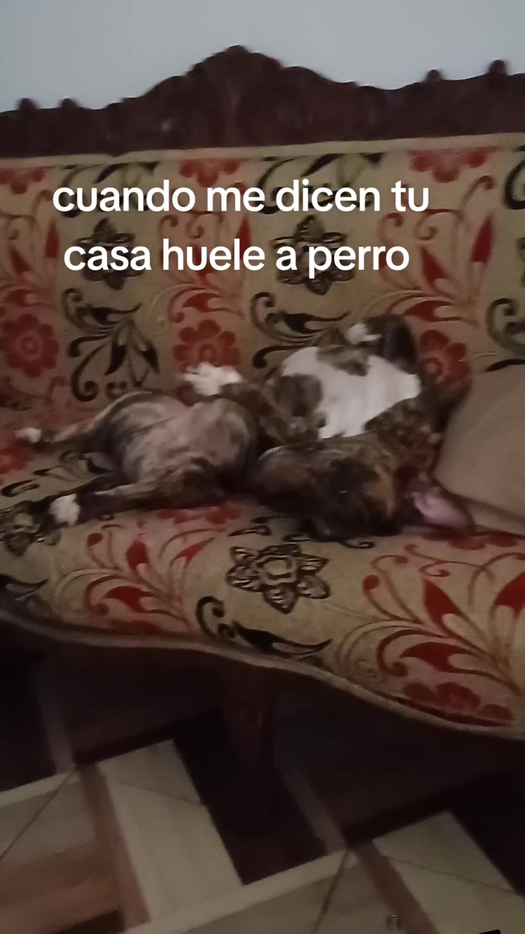 @dulce luna