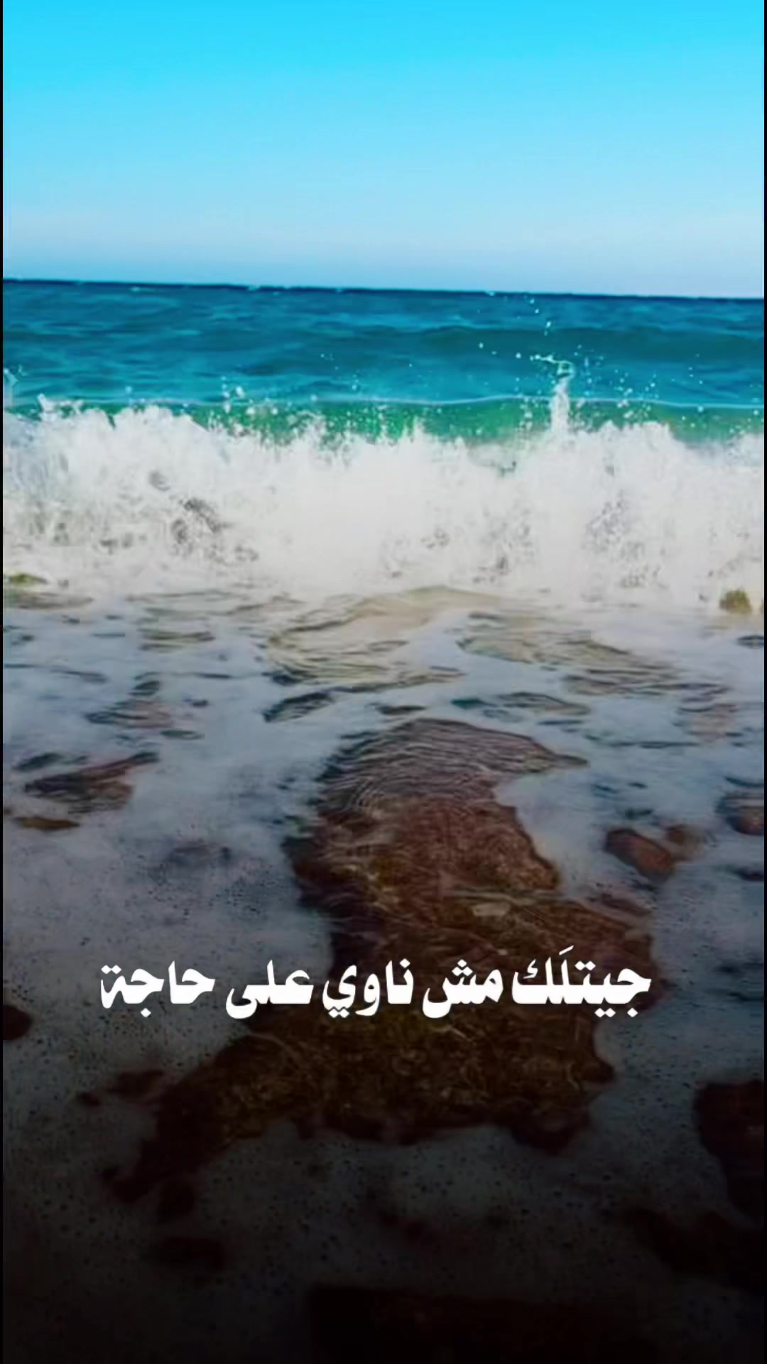 @Sambo  🩵🇪🇬