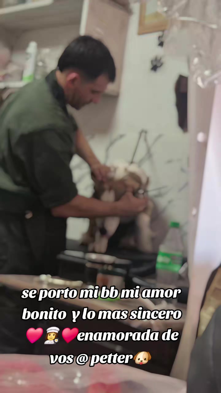 @Sara Alarcon