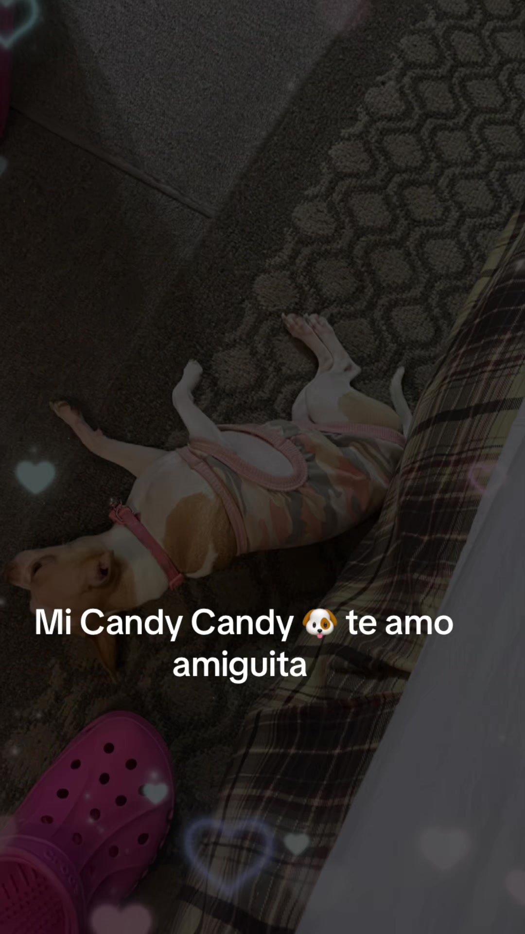 @Carola