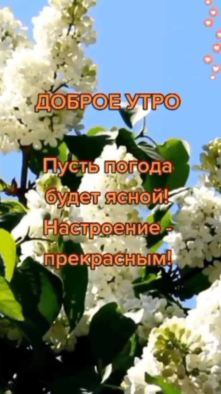 @Танюша