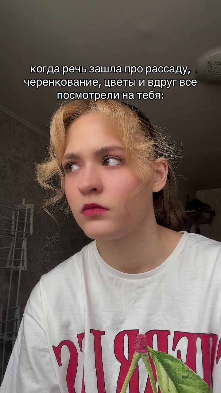 @тгк: БЛОКНОТ СОВЫ