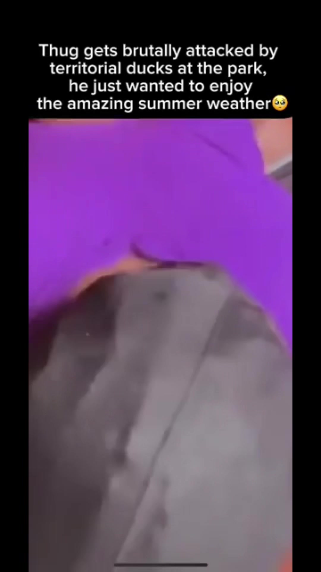 @mikey233s