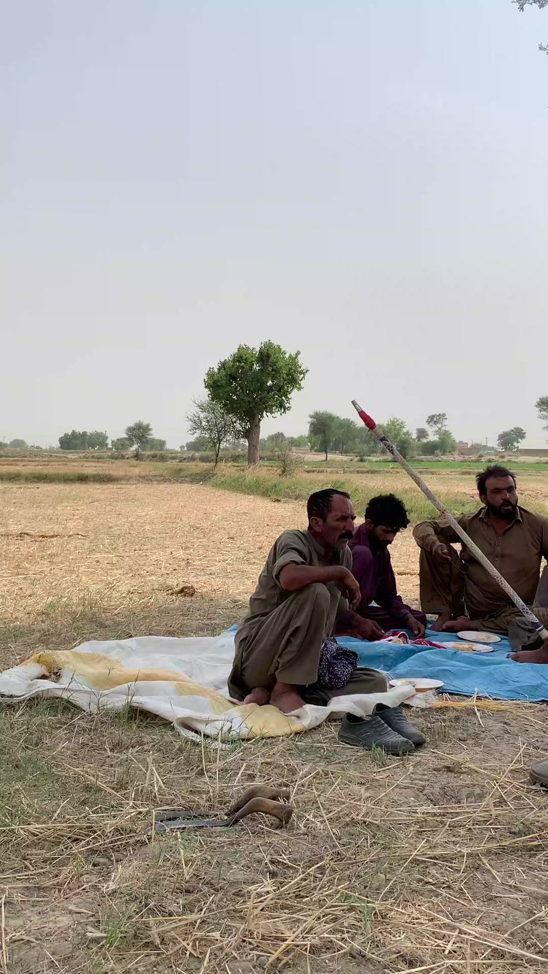 @سِپرا زرعئ اینڈ ڈیری فارم 🌾🚜