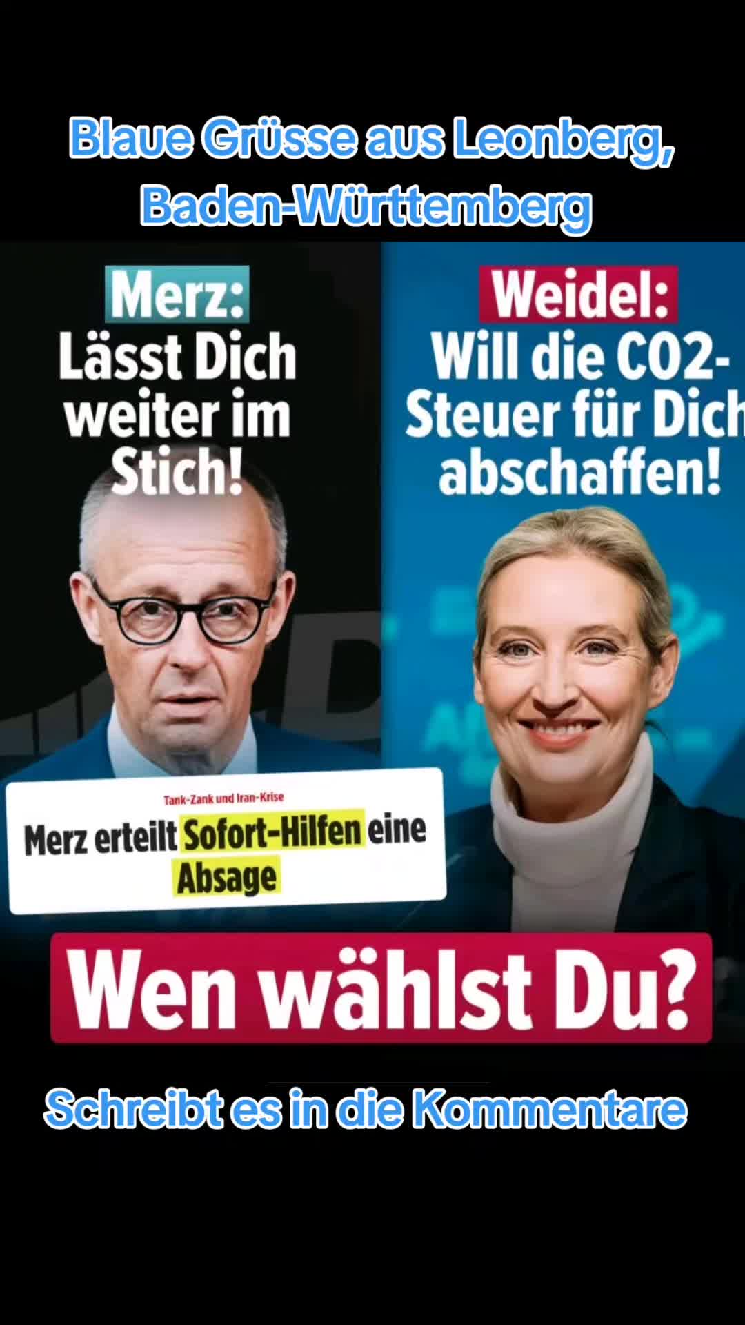 @🇩🇪 💙 Mr. Blaub&auml;r 💙 🇩🇪
