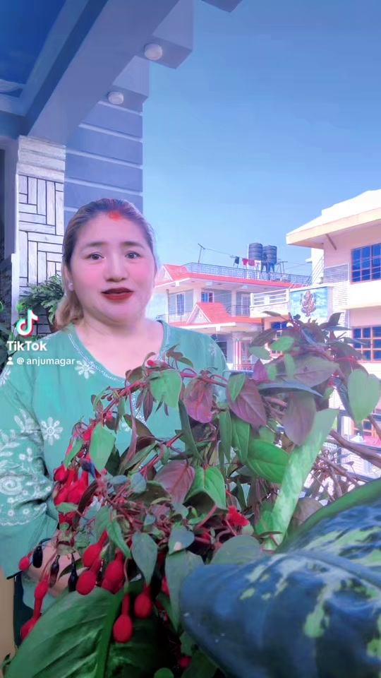 @Anju Magar