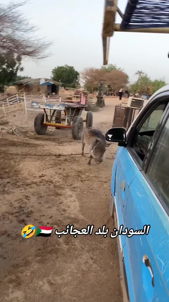 @محمد سعد الجرافي 🪽🖤