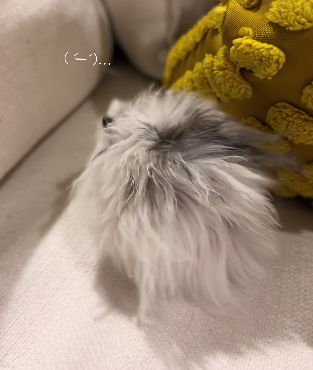 @ぷく