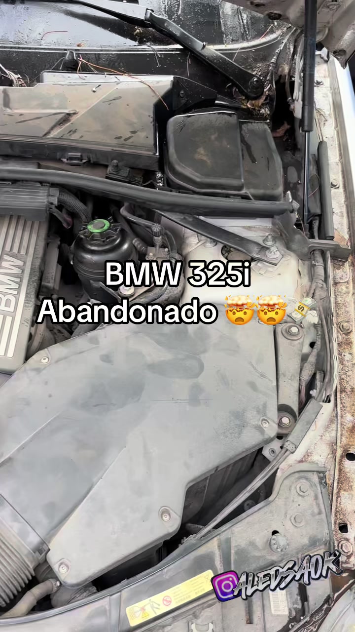 @Aledsaok