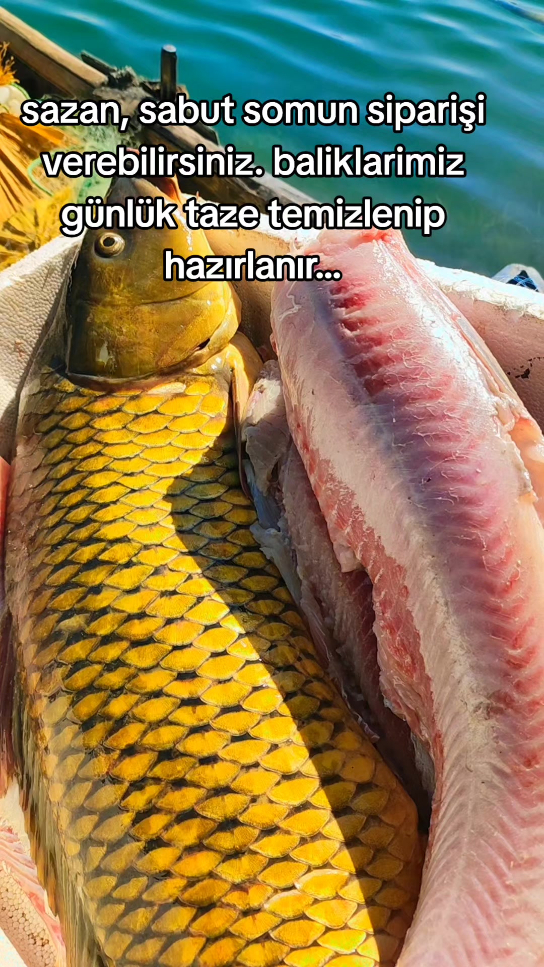 @⚓🐟🐟RECEP_REİS_02🐟🐟⚓